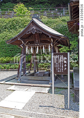 大坊本行寺 大坊本行寺 33509636