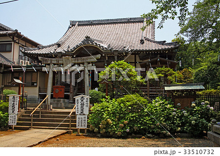池上本門寺 33510732