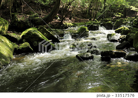 るり溪 33517576