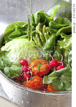シンクで洗う色々な野菜 33518235