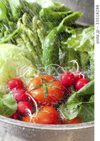 シンクで洗う色々な野菜 33518288
