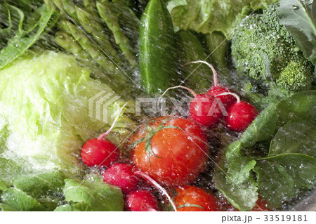 シンクで洗う色々な野菜 33519181