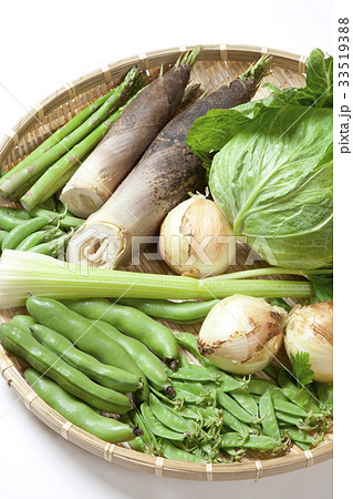 春野菜の集合写真 33519388
