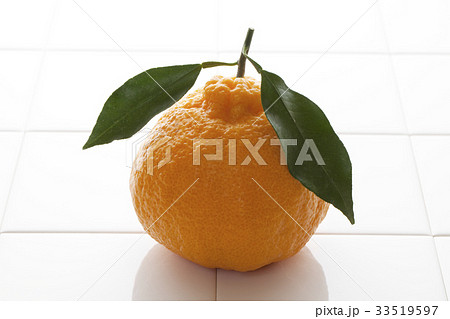 でこぽん 33519597