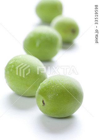 梅の実 33519598