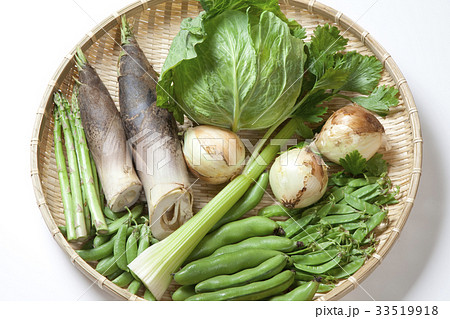 春野菜の集合写真 33519918