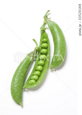 スナップエンドウ 33520169