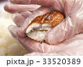 調理手袋で握る寿司 33520389