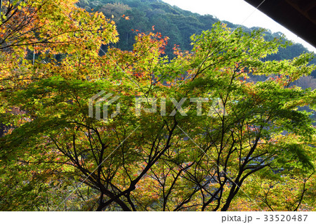 清水寺より 33520487