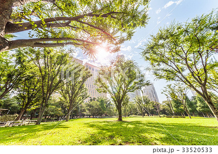 さわやかな朝の新宿中央公園の写真素材