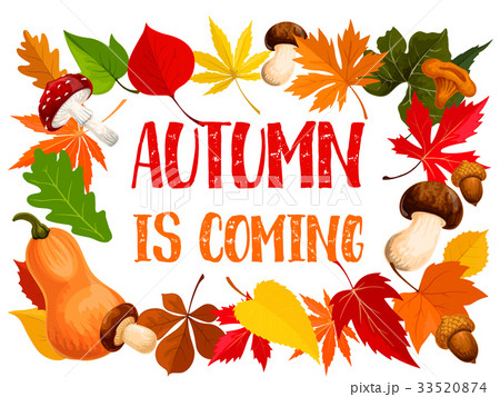 Autumn frame of fall leaf, pumpkin and mushroom 33520874