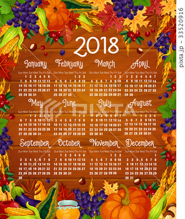 Autumn calendar 2018 vector acorn leaf, pumpkin Autumn calendar 2018 vector acorn leaf, pumpkin 33520916