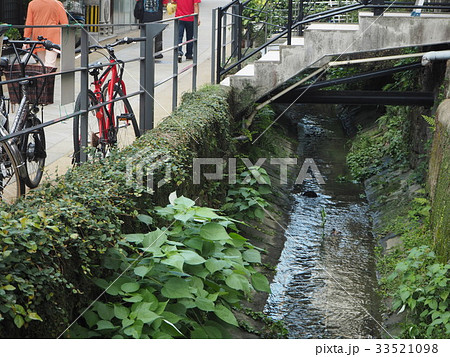 川沿いの路地 川沿いの路地 33521098