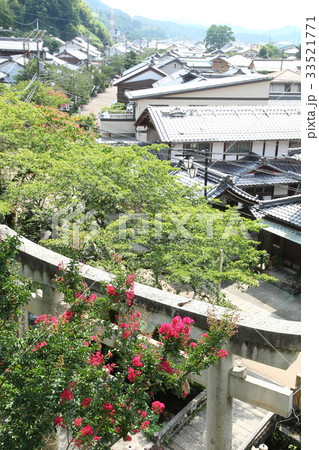 醒ヶ井宿賀茂神社の百日紅 醒ヶ井宿賀茂神社の百日紅 33521771