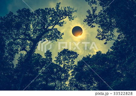 Scientific natural phenomenon. Total solar eclipse Scientific natural phenomenon. Total solar eclipse 33522828