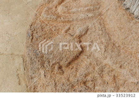 ミファンサ大雄殿 韓国 海南郡 33523912