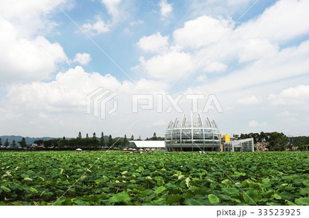 入道雲 池 全羅南道 33523925