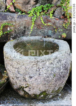 ツタ 松広寺 泉 33524166