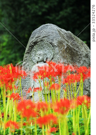 コトムルト 石 岩 33524276