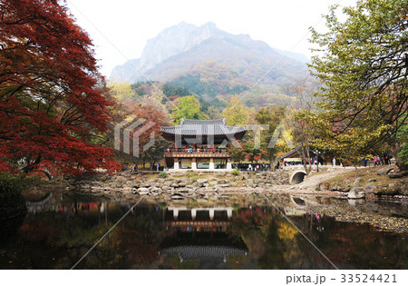 白羊寺 池 全羅南道 33524421