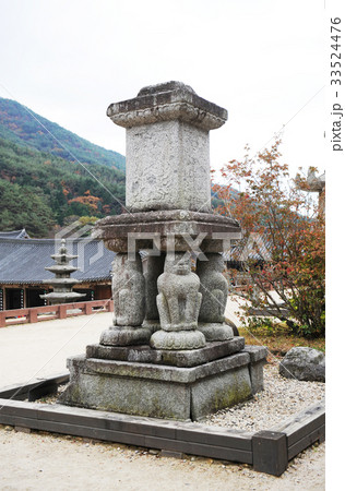 求礼郡 全羅南道 トップ 33524476