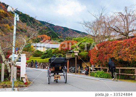 Rickshaw riding at Arashiyama in autumn 33524884