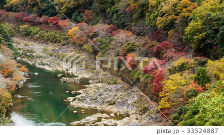 Autumn colors surround Sagano rail, Arashiyama Autumn colors surround Sagano rail, Arashiyama 33524887