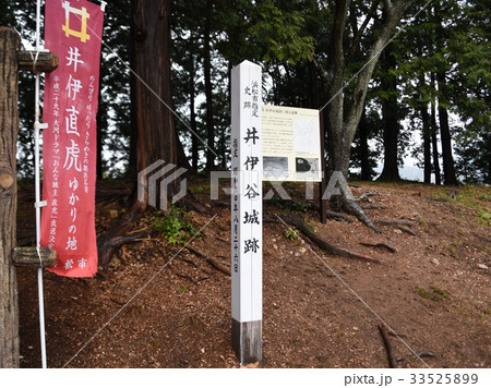 井伊谷城 本丸跡 井伊谷城 本丸跡 33525899