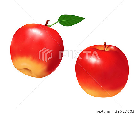 りんご リアルイラスト パッケージイラストのイラスト素材