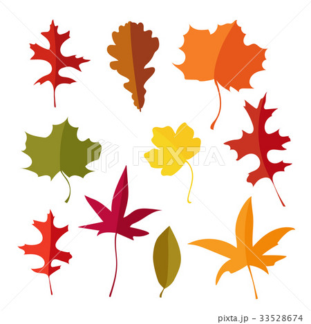 Colorful set of autumn lmaple, oak and liquidambar 33528674