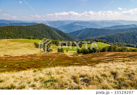 grassy meadow on a hillside in autumn 33529207