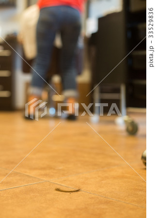 hair on the floor in the hairdresser 33529836