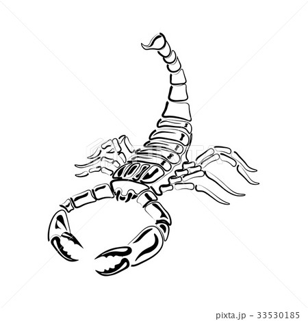 Aggressive black and white Scorpion for tattoos 33530185