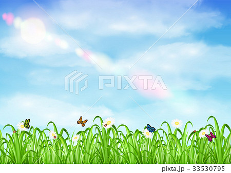 grass with flower and butterfly ladybug with sky 33530795