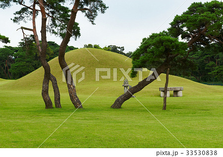 レースオルン 墓 松 33530838