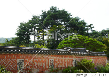 京畿道 キョンギド 木 33531213