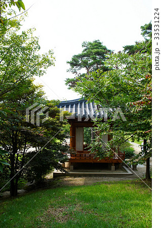 京畿道 キョンギド 木 33531224