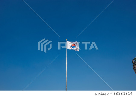 ヌキ 切り抜き 屋外 33531314