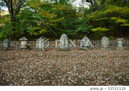甲寺 不渡り 忠南 33532126