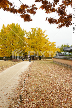 秋 景福宮 宮殿 33532160