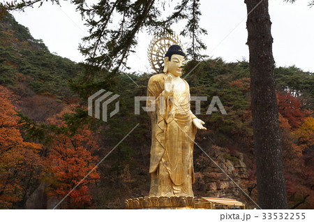 秋 法住寺 仏 33532255