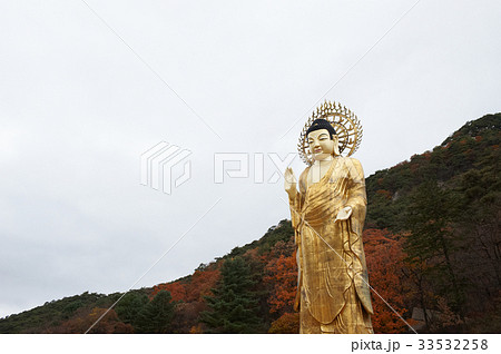 法住寺 仏 節 33532258