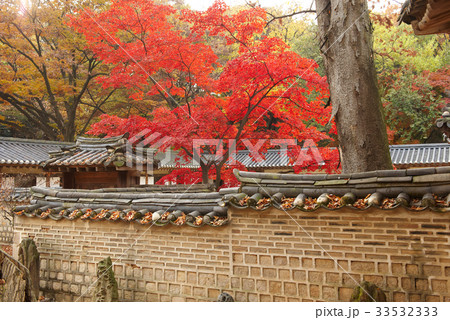 紅葉 フェンス 塀 33532333