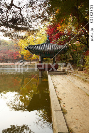 紅葉 ソウル エリョンジョン 33532355