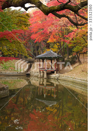 紅葉 ソウル 精子 33532360