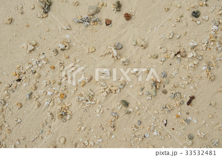 石 砂 貝 33532481