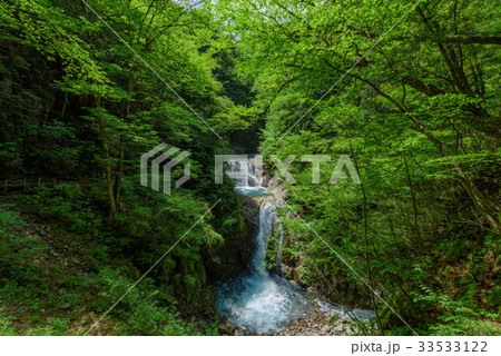 滝 滝 33533122