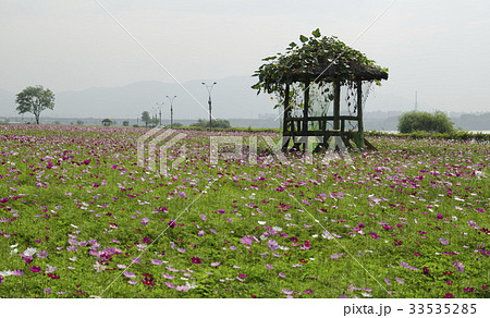 京畿道 キョンギド 番小屋 33535285