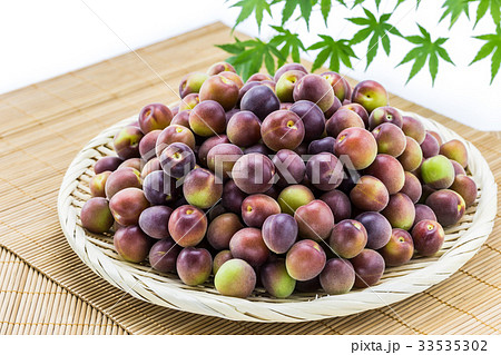 小梅　小粒の青梅 33535302