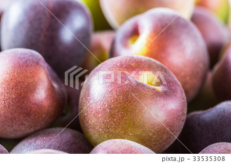 小梅　小粒の青梅 33535308